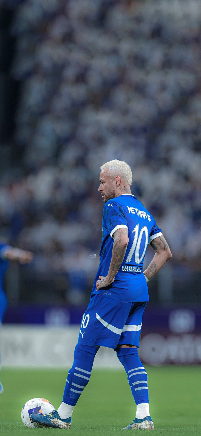 不可忽视的 不可忽视的